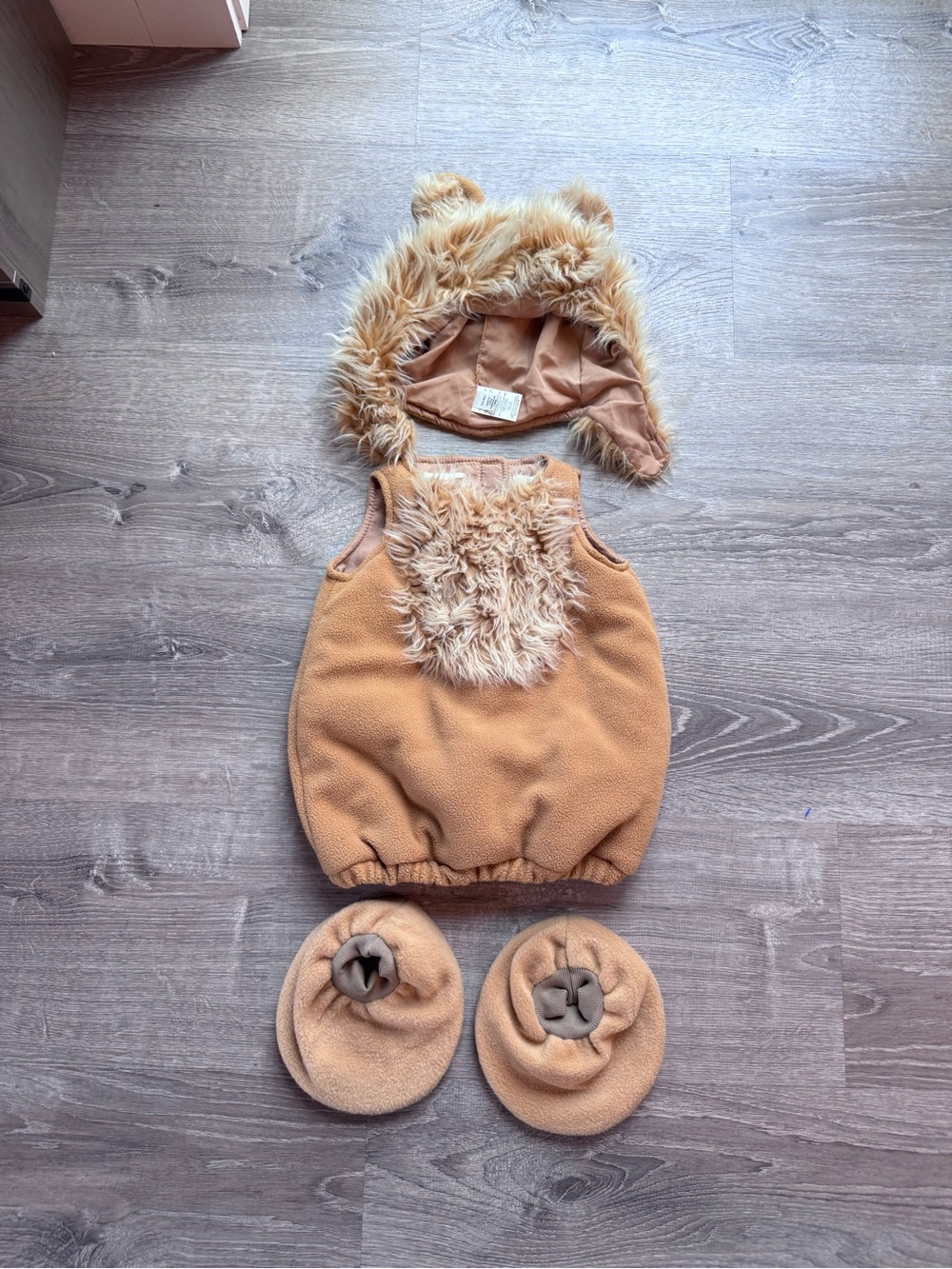 Pottery Barn Lion Costume
